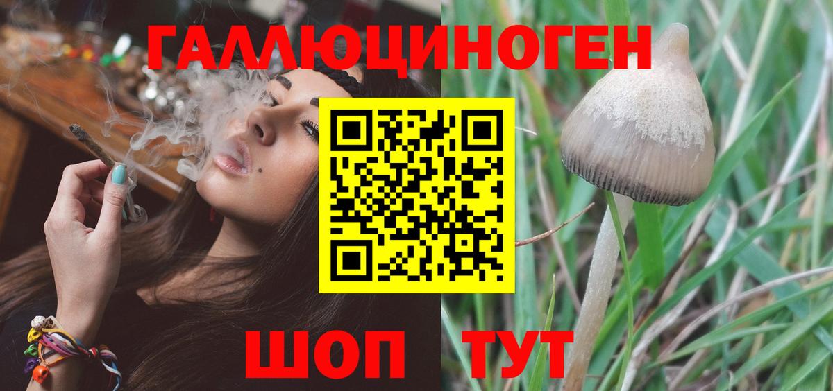 Галлюциногенные грибы мухоморы  Вход с VPN  Галлюциногенные грибы MAGIC MUSHROOMS  Обь 