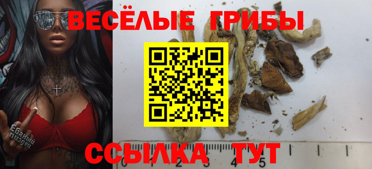 ГАШ Обь